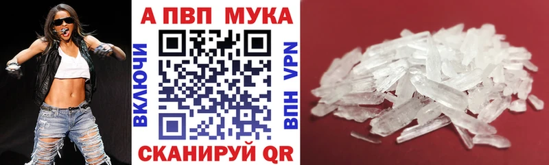 KRAKEN ссылки  Химки  А ПВП СК 