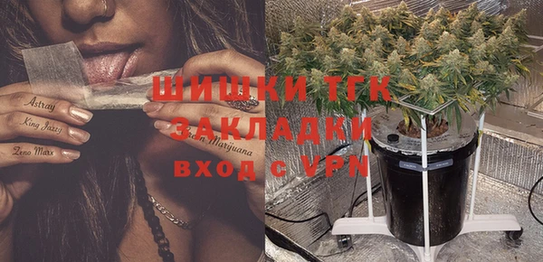 тгк Горнозаводск
