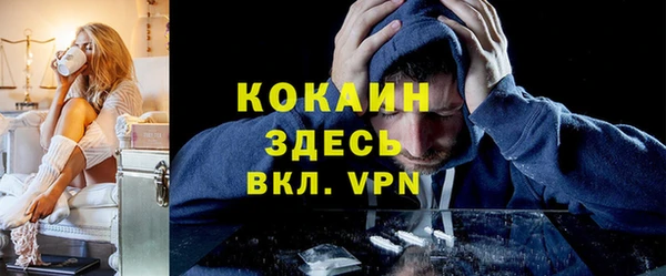 мдпв Горняк
